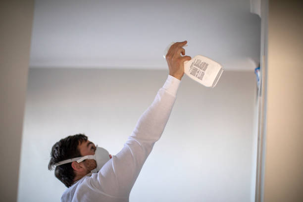 Best Same-Day Mold Removal  in Parkston, SD