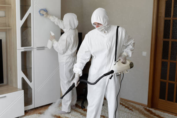 Best Office Mold Removal Services  in Parkston, SD