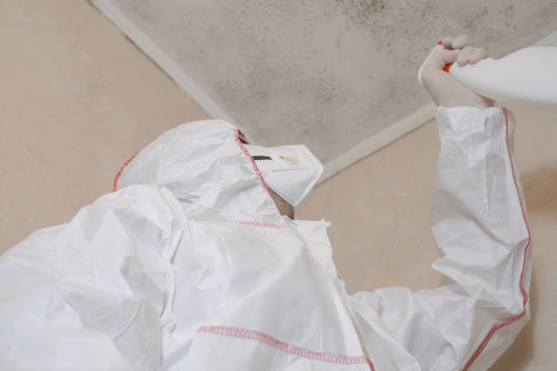 Best Mold Testing  in Parkston, SD